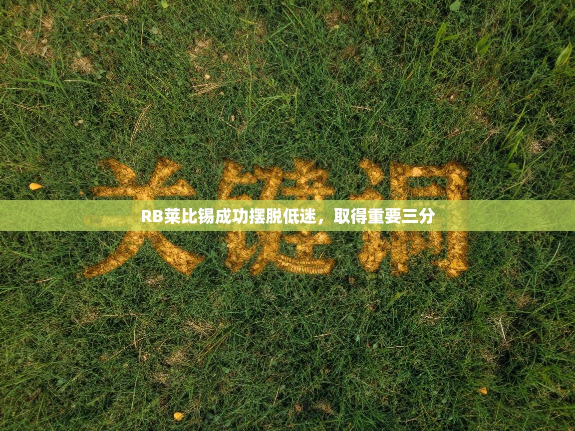 RB莱比锡成功摆脱低迷,取得重要三分 第2张