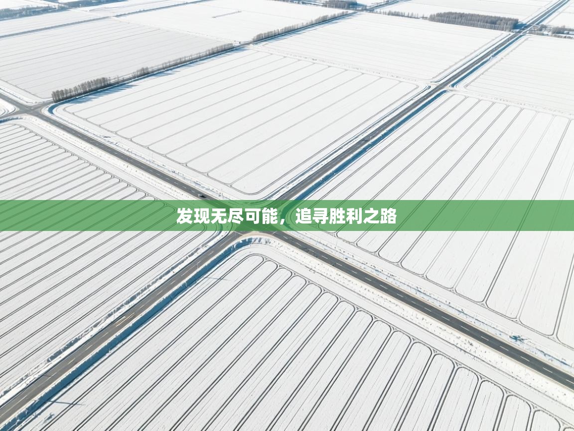 发现无尽可能,追寻胜利之路 第1张