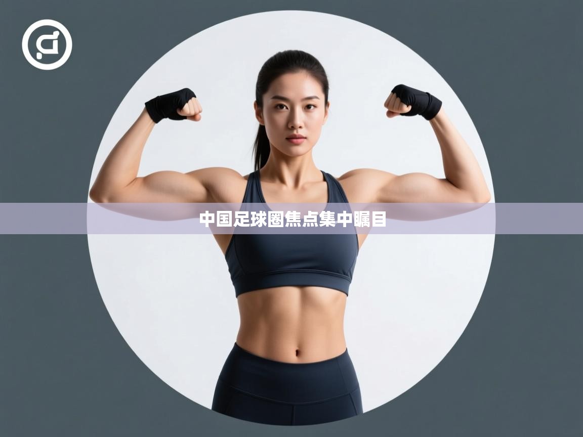 中国足球圈焦点集中瞩目 第2张