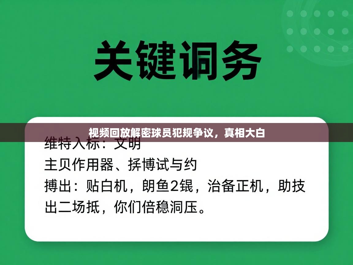 视频回放解密球员犯规争议,真相大白 第1张
