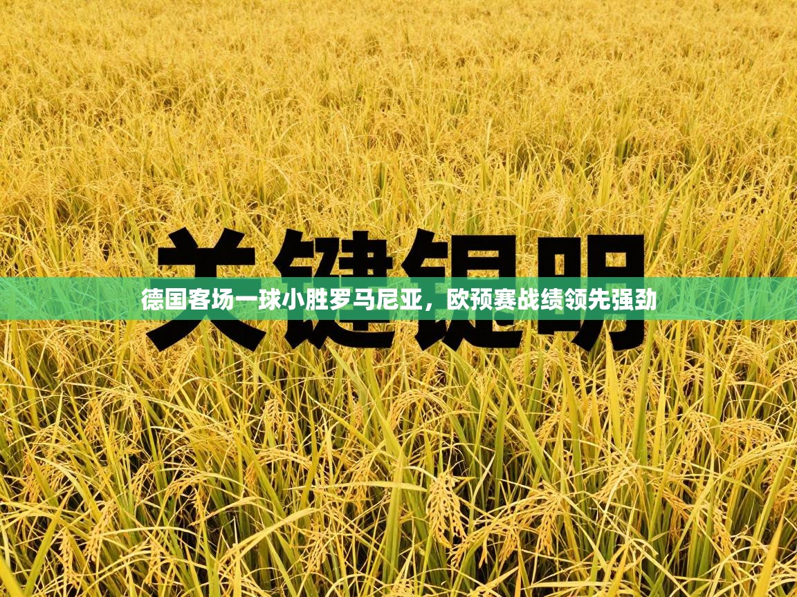 德国客场一球小胜罗马尼亚,欧预赛战绩领先强劲 第1张